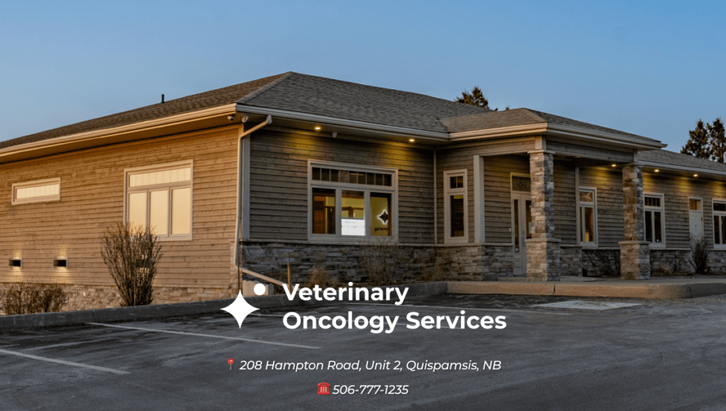 Veterinary Oncology Services